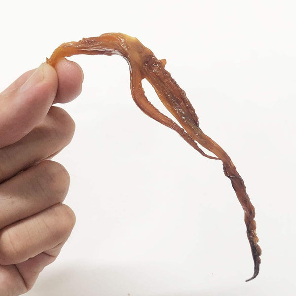 げんこつ 和風味付けいかスナック 80個