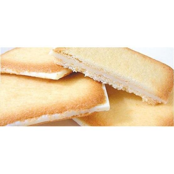 石屋 白い恋人クッキー ホワイトチョコレート 24枚入り