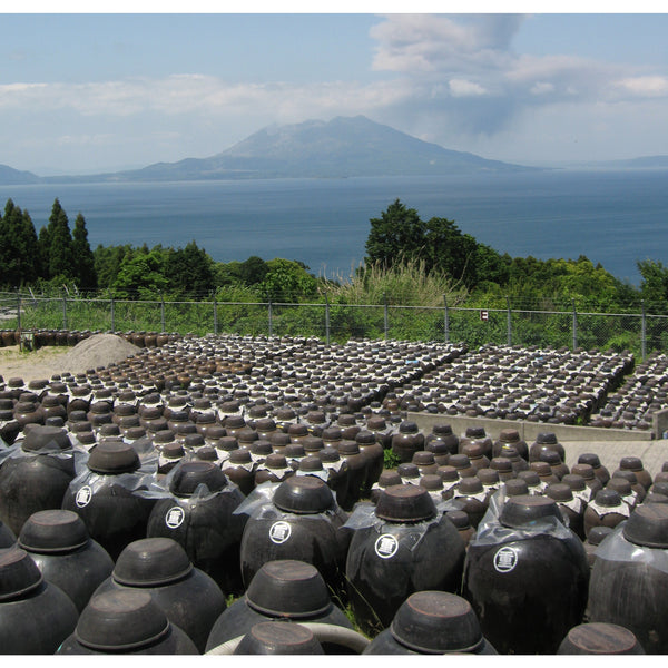 丸茂 みがきいちごプレミアム飲む酢 500ml