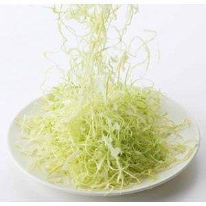 下村 マンドリン キャベツシュレッダー スライサー 35950