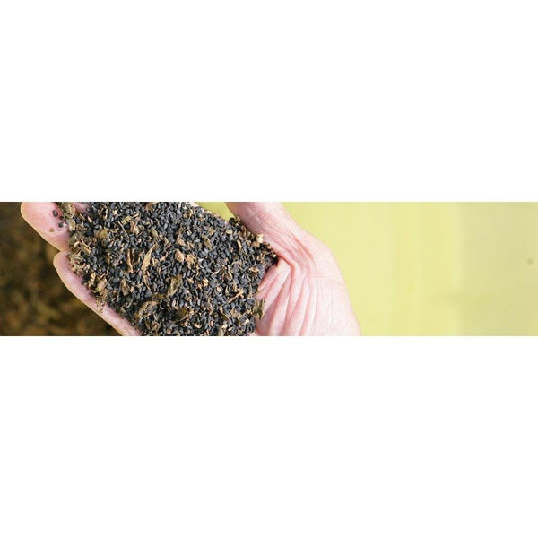 八幡屋礒五郎 七味唐辛子調味料 缶 14g