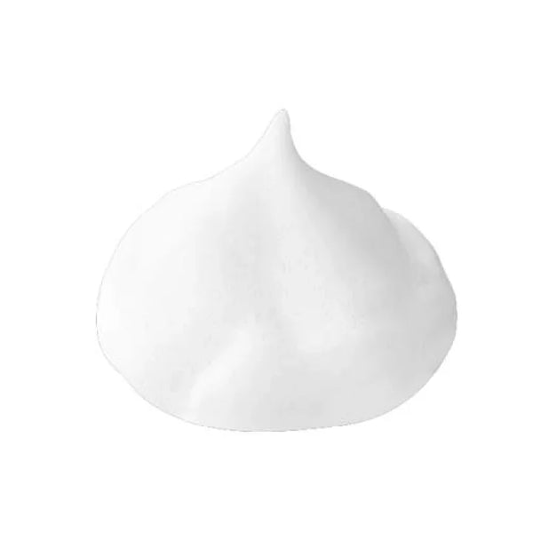 サナ なめらか本舗 豆乳イソフラボン泡洗顔料 普通肌用 150g