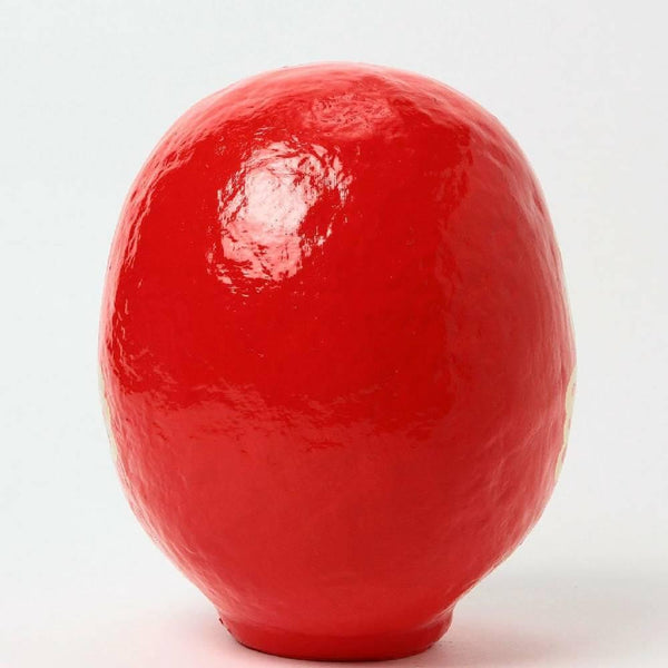 白川だるま「鳳」手作り縁起物 赤色 25cm