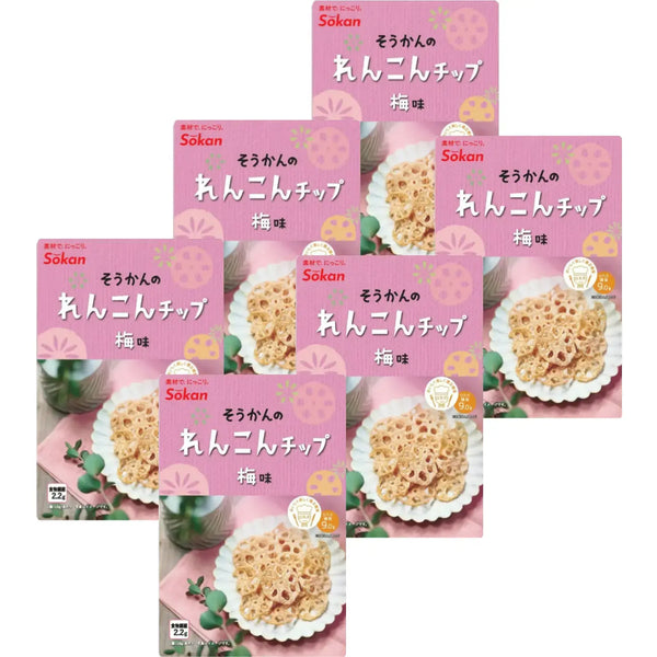 爽寛 梅レンコンチップス 梅風味レンコンチップス 18g (6個入り)