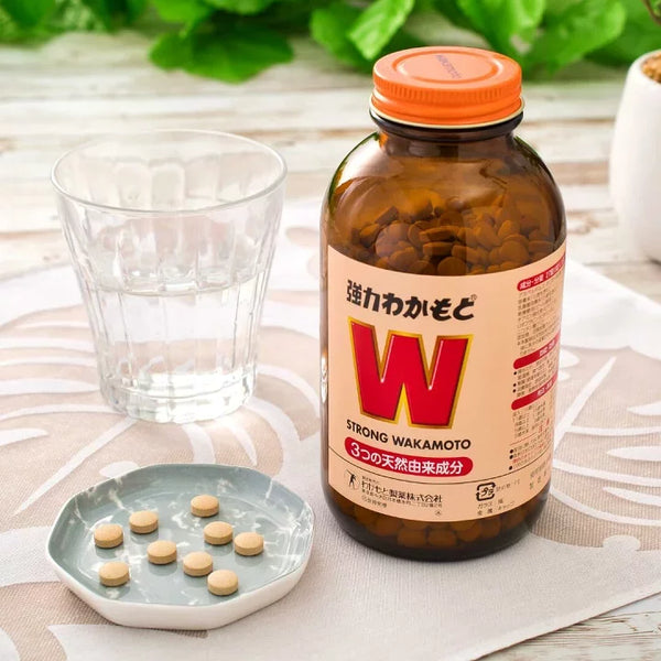 強力わかもと 和風胃腸薬 1000錠