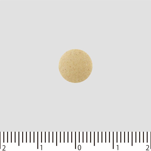 強力わかもと 和風胃腸薬 1000錠