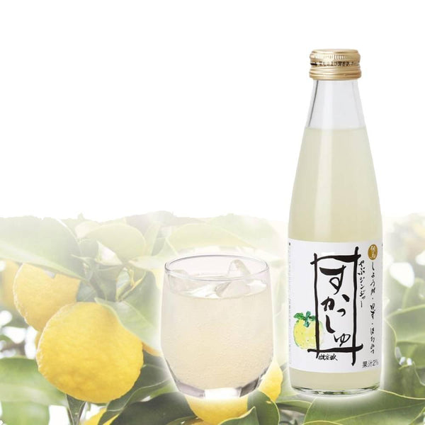 田島醸造 スパークリングゆず＆やぶ生姜酢ソーダドリンク 200ml