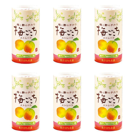 Tokiwa-Ume-Flavored-Japanese-
