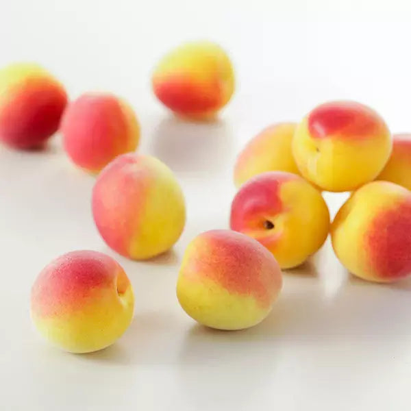 トキワ 梅ごこちストレート（梅風味酢ドリンク）125ml（6本入り）