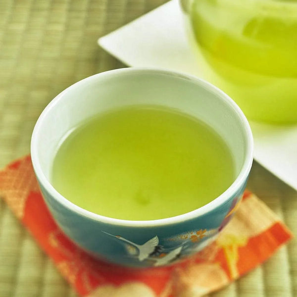 宇治園 かぶせ茶 雲龍ティーバッグ プレミアムマイルド日本茶 10袋入り
