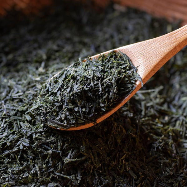 宇治園 北白川 玉露 最高級 茶葉 100g